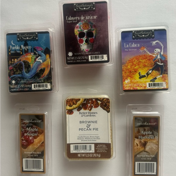 Sensational Other - NEW- Wax melt bundle